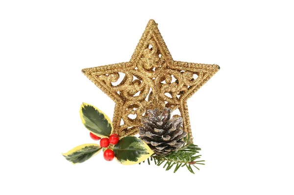 Ouro Brilho Estrela Natal Com Azevinho Variegado Pinecone Agulhas Isoladas — Fotografia de Stock