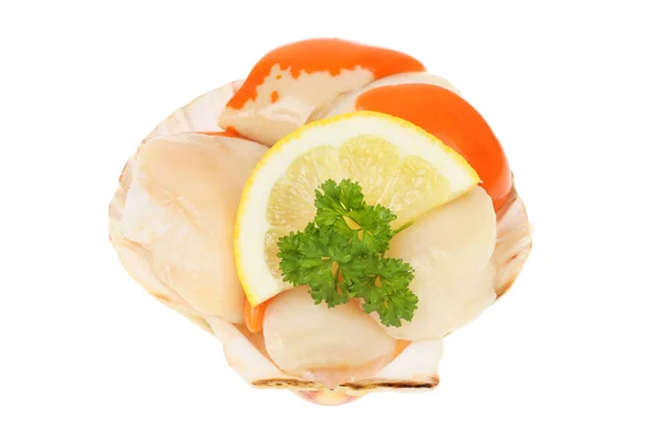 白に対して隔離されたホタテ貝にレモンとパセリと新鮮な生ホタテ — ストック写真