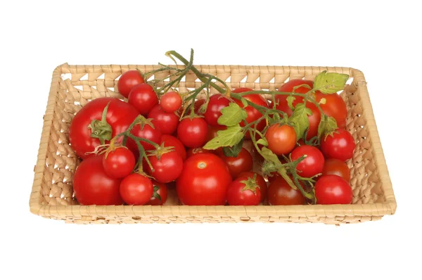 Tomatoes in basket — Stock Photo, Image