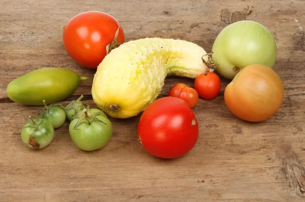 Tomates maduros e não maduros — Fotografia de Stock