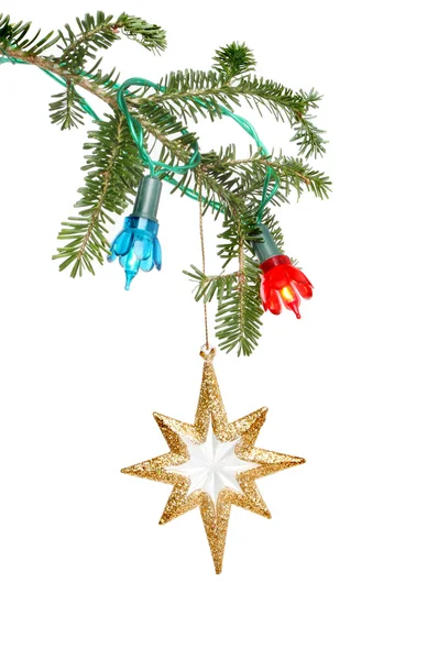 Estrella en el árbol — Foto de Stock