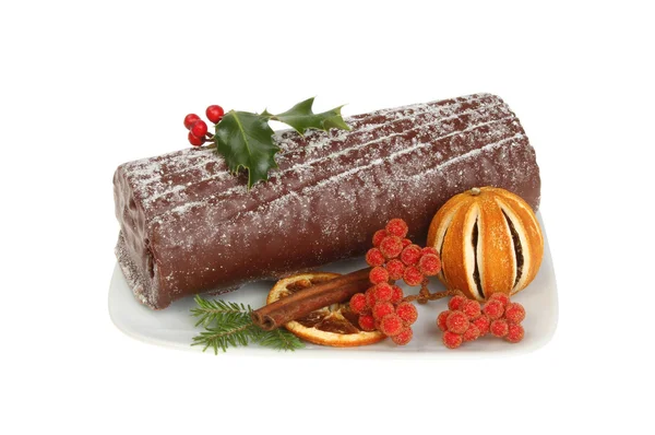 Chocolate yule log — Stock Photo, Image