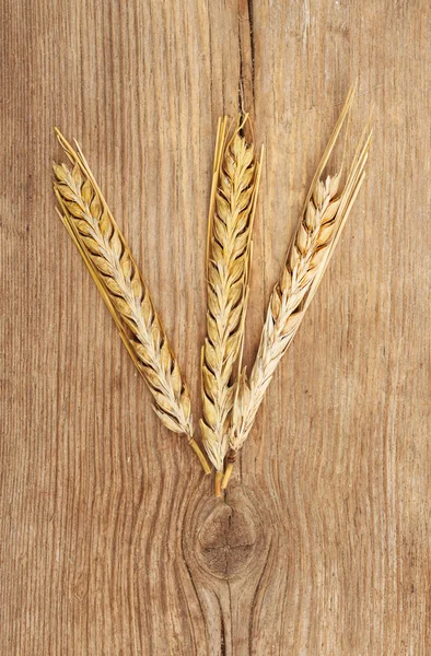 Orelhas de trigo em madeira — Fotografia de Stock