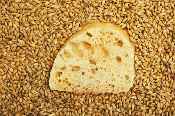 Krajíc chleba ciabatta — Stock fotografie