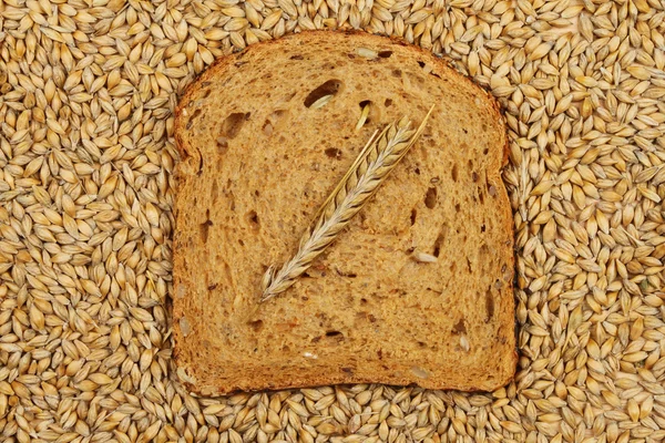 Oor van gerst op brood — Stockfoto