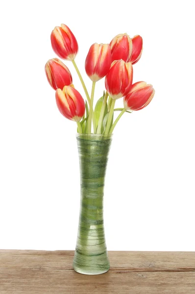 花瓶の赤いチューリップ — ストック写真