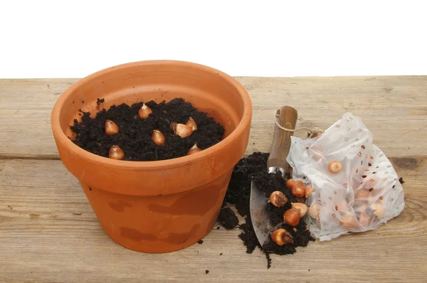 Vaso di terracotta con compost — Foto Stock