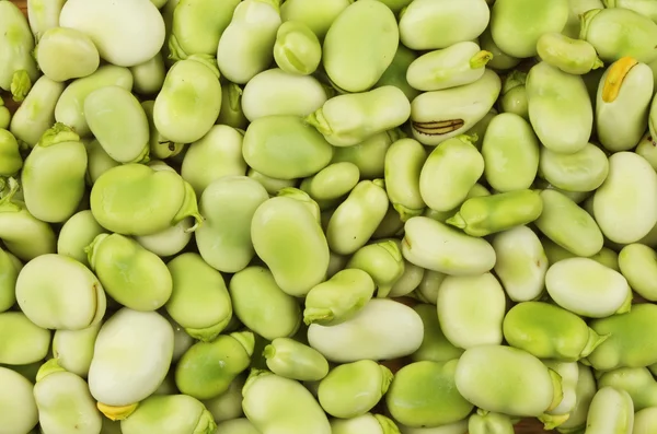 Broad beans — Stock Photo, Image