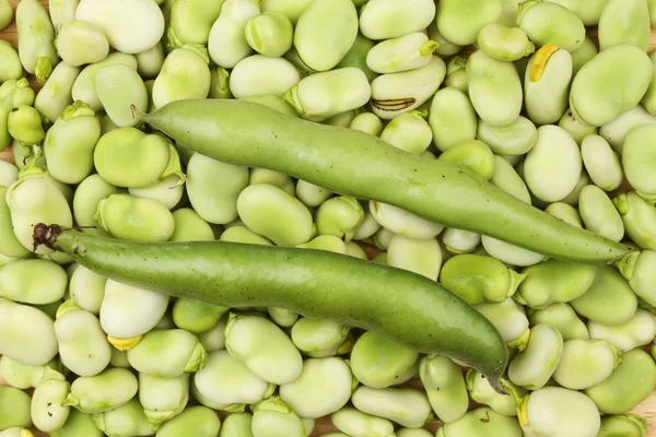 Frijoles anchos —  Fotos de Stock