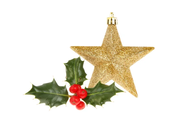 Karácsonyi magyal dekoráció — Stock Fotó