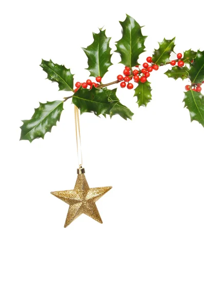 Gold star and Holly — Stock Photo, Image