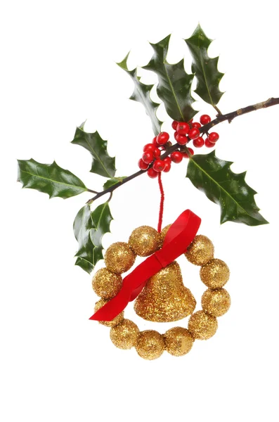 Karácsonyi dekoráció a holly — Stock Fotó