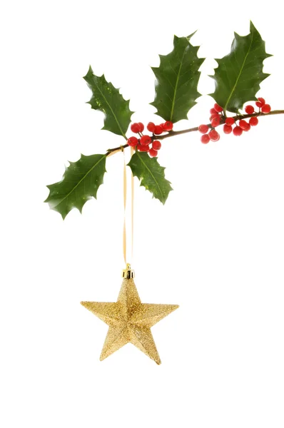 Gold star in holly — Stock Photo, Image