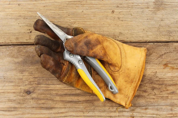 Glove and secateurs — Stock Photo, Image