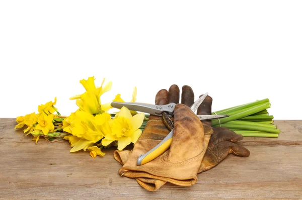 Flores cortadas en madera — Foto de Stock