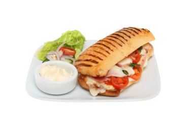Panini bir plaka üzerinde