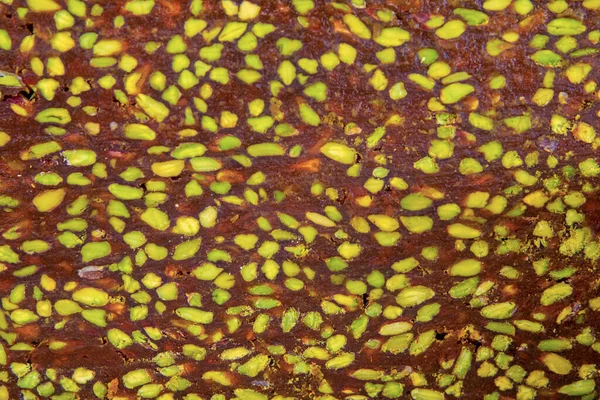 Geleneksel Türk tatlıları ya da ramazan bayramı için Cezerye tatlısı.