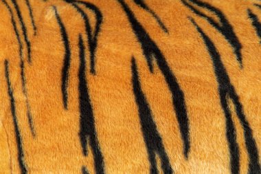 Kaplan kürkü saç dokusu yün battaniye arka planı.