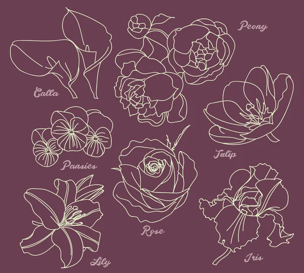 Ensemble floral vectoriel . — Image vectorielle