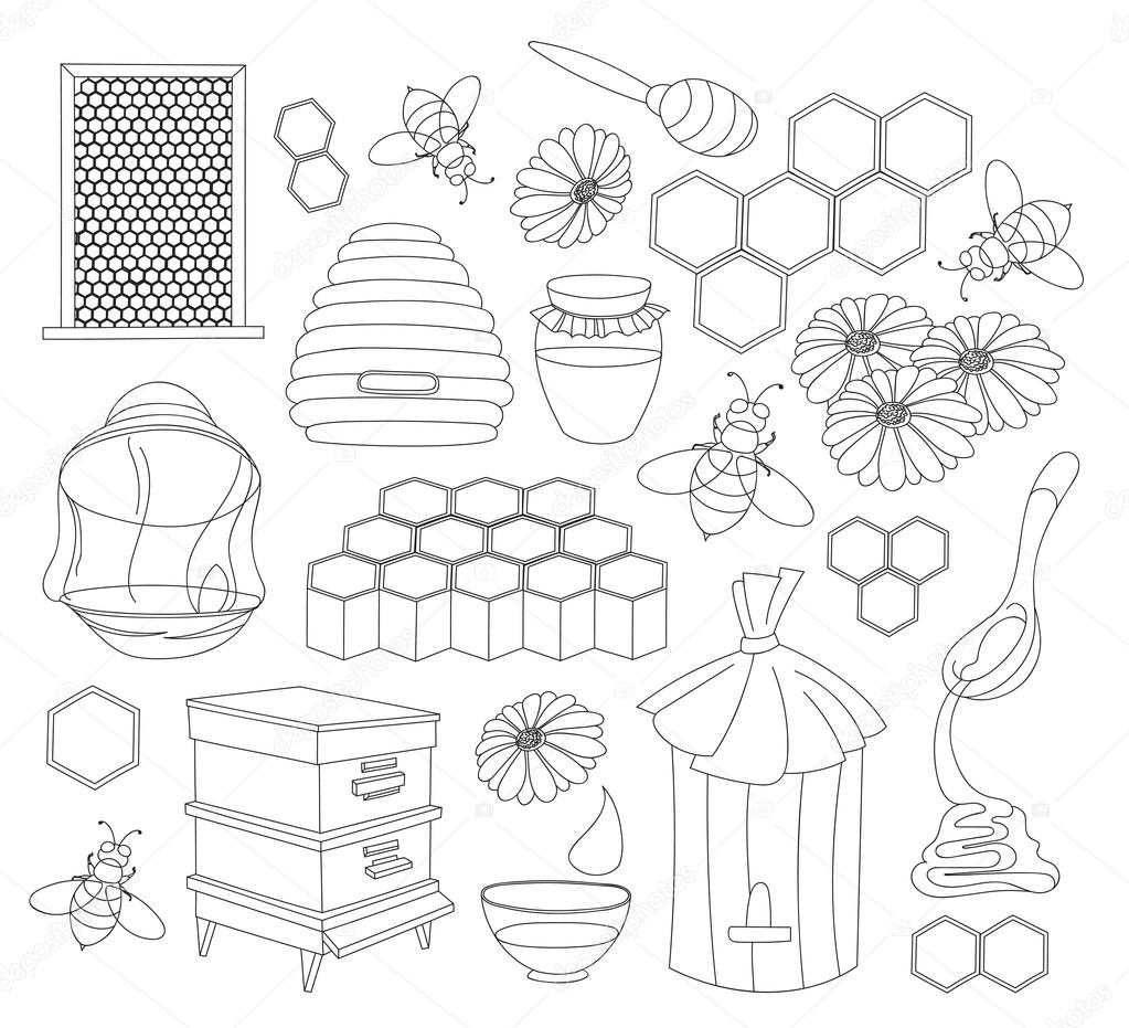 Honey set. Design with apiary sketch elements.