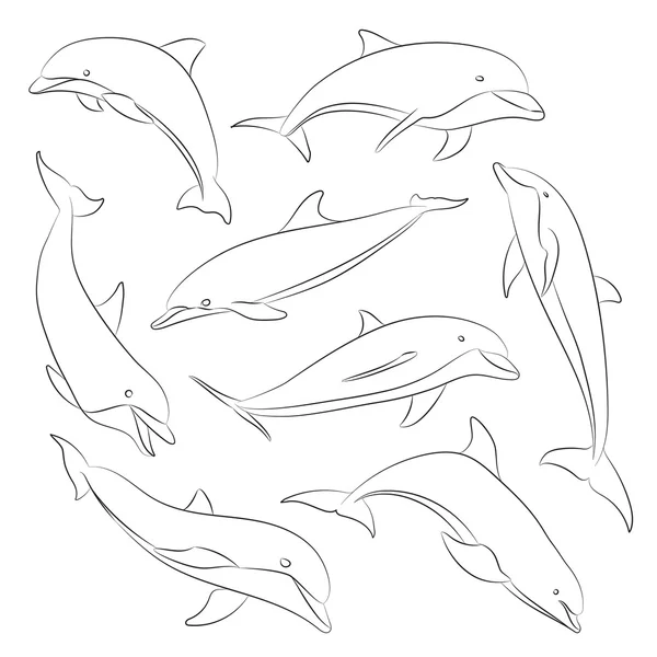 Vector hand drawn set of dolphins — Stock Vector