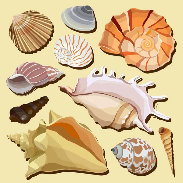 Izole elle çizilmiş seashell simge kümesi — Stok Vektör