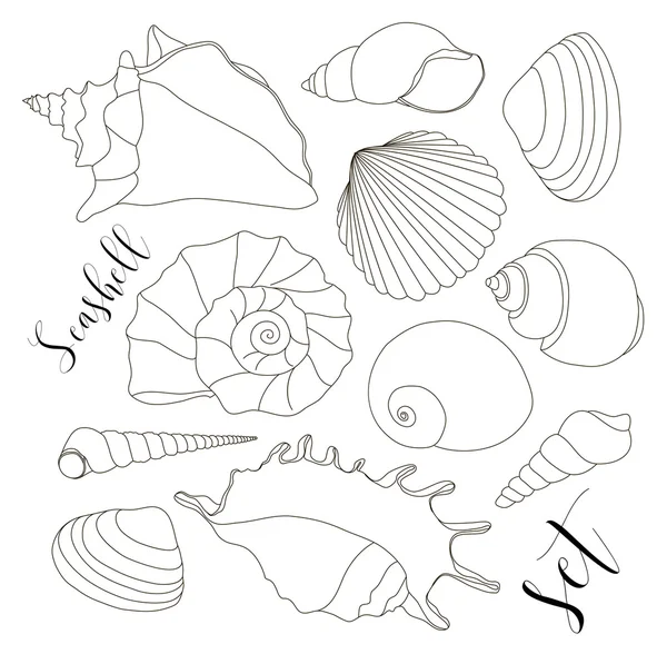 Conjunto de iconos aislados de concha marina dibujada a mano — Archivo Imágenes Vectoriales