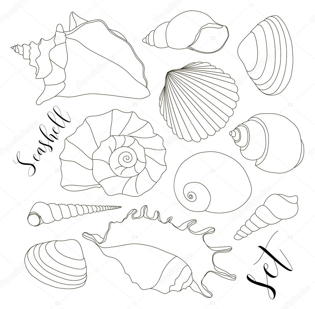 Set of isolated hand drawn seashell icons