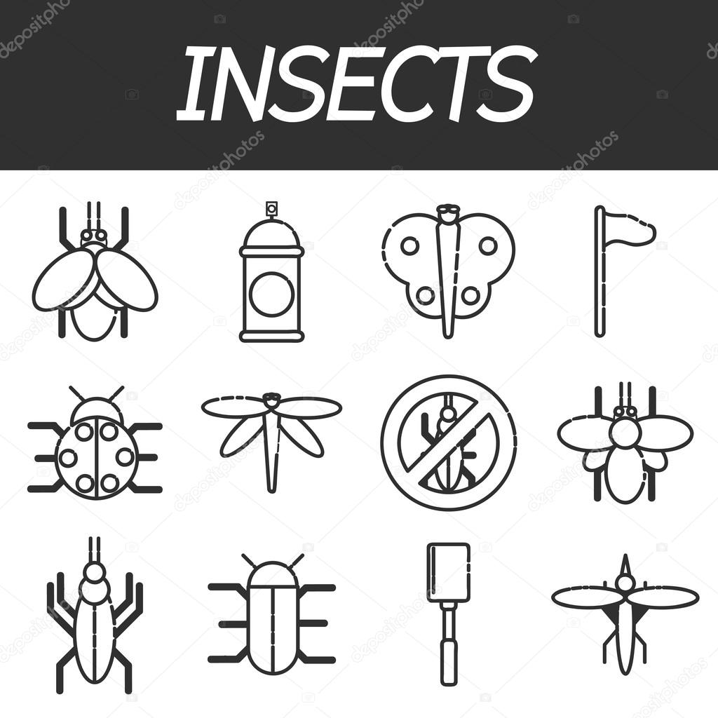 Insects icons set