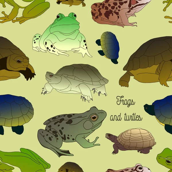 Conjunto com rãs e padrão turtless — Vetor de Stock
