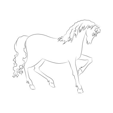 Beyaz arkaplanda bir atın vektör görüntüsü