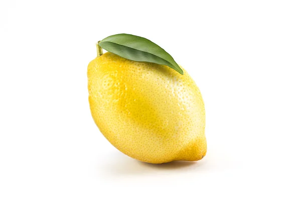 흰색 잎 신선한 레몬 — 스톡 사진
