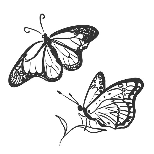 Doodle butterfly — Stock Vector