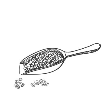 Kahve çekirdekleri ve tahta kaşık doodle