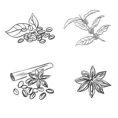 Doodle Kahve Fasulyesi