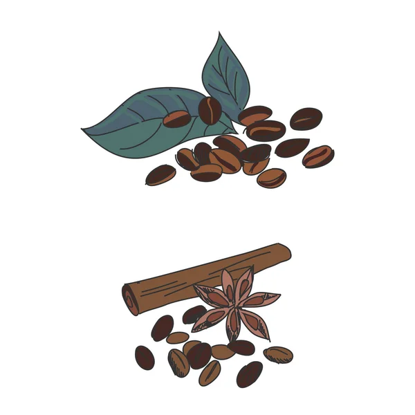 Gekleurde doodle koffiebonen — Stockvector