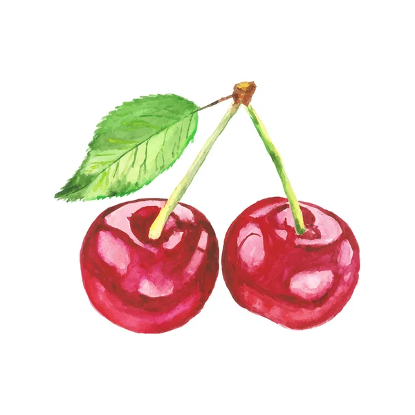 Cherries. Vector watercolor painting on white background — Stock Vector