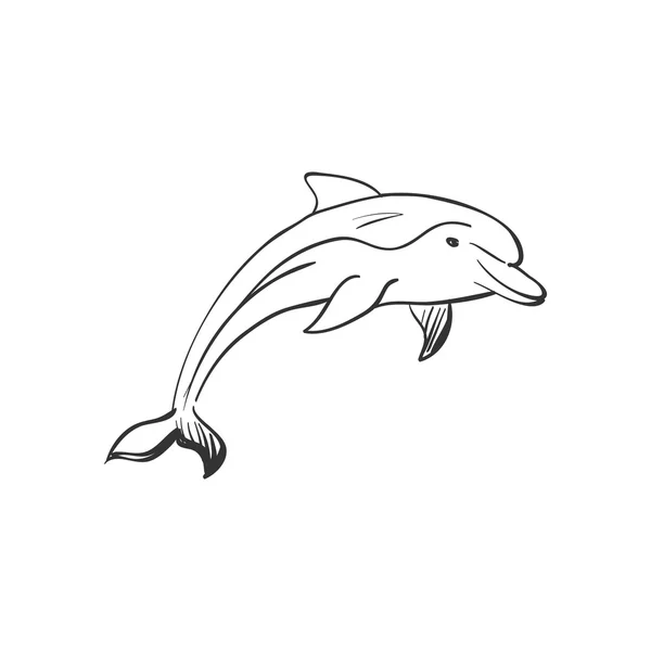 嘟嘟海豚 — 图库矢量图片
