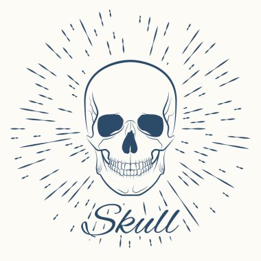 kafatası ve vintage güneş patlaması çerçeve