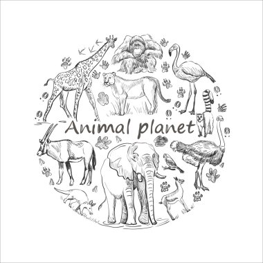 Elle çizilmiş hayvan planet