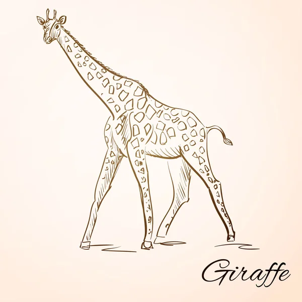 Doodle giraffa — Vettoriale Stock