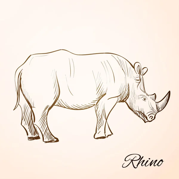 Doodle rhino — Stockvector