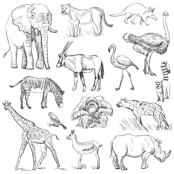 Dibujado a mano animal planeta conjunto — Archivo Imágenes Vectoriales