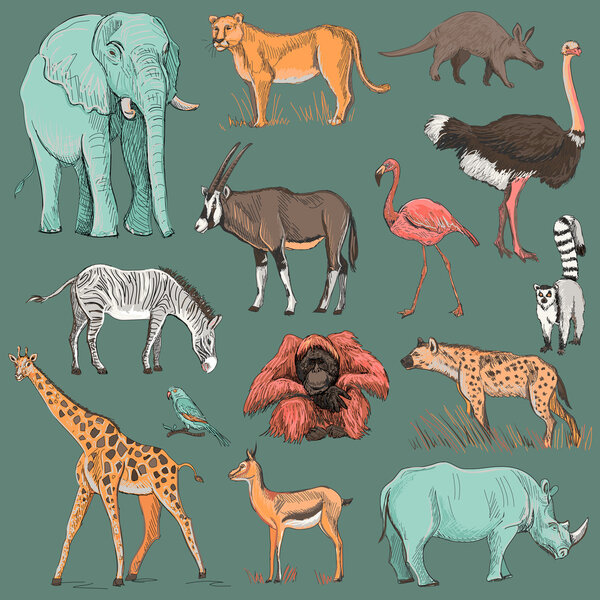 Ручная иллюстрация планеты животных
