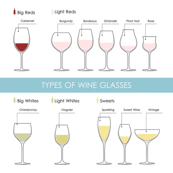 Types de verres à vin — Image vectorielle