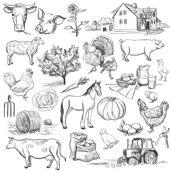 Colecção agrícola - conjunto desenhado à mão —  Vetores de Stock