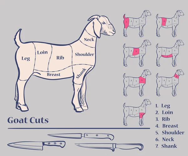 山羊分割肉 — 图库矢量图片