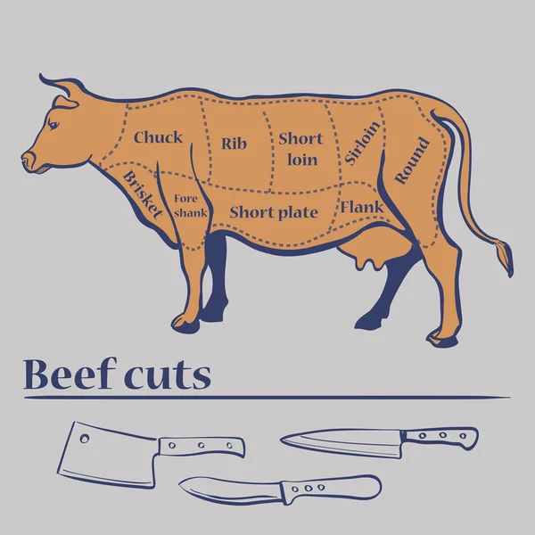 Vector cuts of cow — Stock Vector