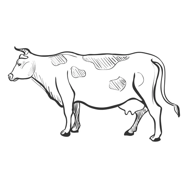 Vaca garabato — Vector de stock