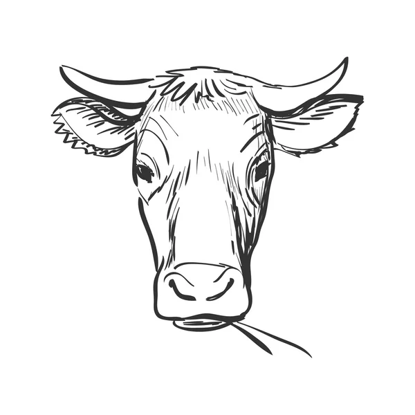 Vaca garabato — Vector de stock
